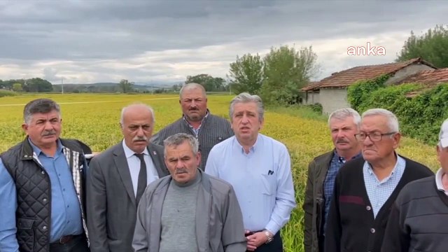 Çeltik Üreticileri Çeltik Fiyatının Açıklanmasını Bekliyor