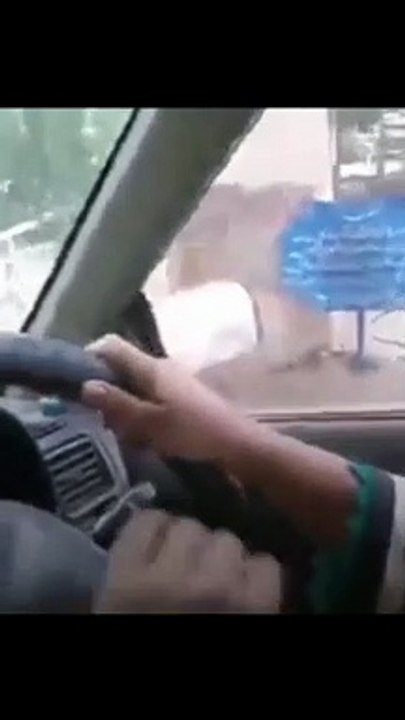 Funny driver viral video