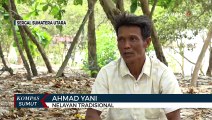 Curhat Nelayan di Kabupaten Serdang Bedagai yang Terkena Dampak Perubahan Iklim