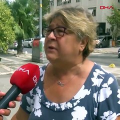 Kimse anlamadı! Ağaç devrildi, 51 daire icralık oldu