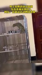 鸚鵡唱歌了！高唱《我是一只小小鳥》。鸚鵡學舌名不虛傳！Parrot sang! Singing "I'm a Little Bird".