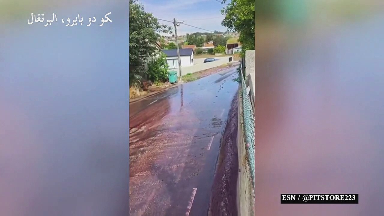 النبيذ يجتاح شوارع قرية في البرتغال