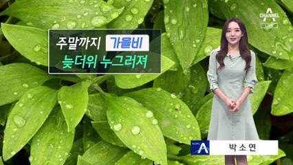 [날씨]주말까지 가을비, 내일 중부 비 소강…늦더위 누그러져