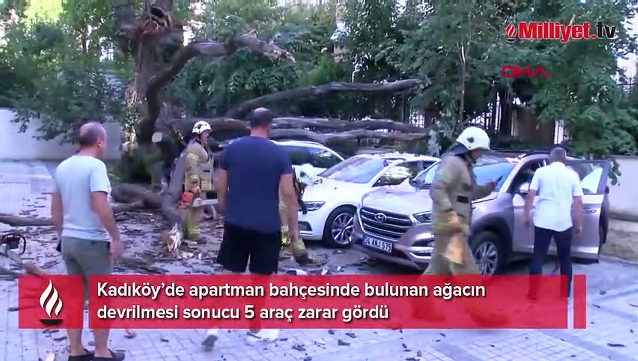 Aracın üstüne ağaç devrildi! 51 daire sahibine büyük şok