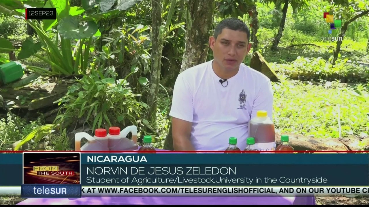 FTS 8:30 13-09: Guatemalan president-elect suspends power transition process