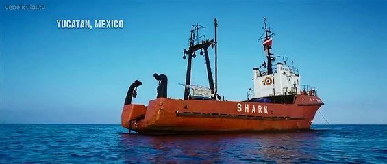 Explora La Caverna Maldita: Misterios y Aventuras en la Sombra ⛏️