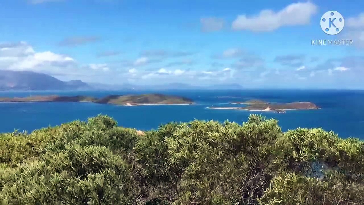 MISSED OPPORTUNITY SOMETIMES BECOME A GOLDEN CHANCE | FIT MINDSS