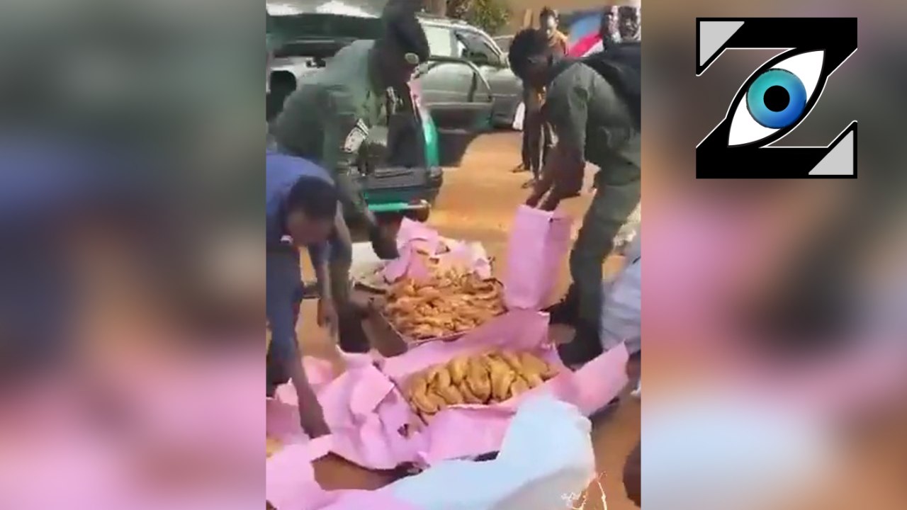 [Zap Net] Niger : un trafiquant de petits déjeu...