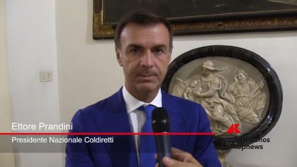 Agricoltura, Prandini (Coldiretti): "Accordi filiera danno certezze alle imprese agricole"