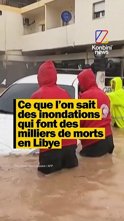 Le bilan (encore provisoire) s'élève pour l'instant à 2 300 morts, 7 000 blessés et au moins 10 000 personnes sont portées disparues
