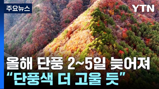 올가을 단풍 예년보다 2∼5일 늦어져... 단풍 색은 더 고울 듯 / YTN