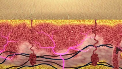 مؤشر درجة حرارة البصيلة الرطبة الكروية