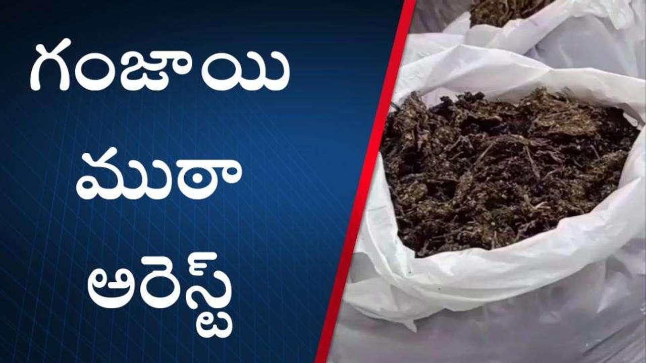రంగారెడ్డి: గంజాయి ముఠా అరెస్టు.. కేసు వివరాలు...