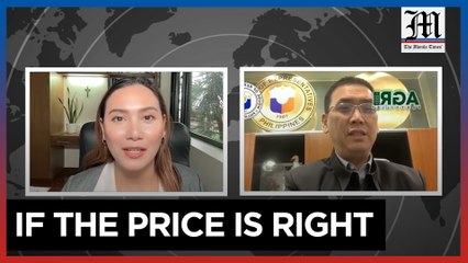 Lawmaker seeks long-term solutions to PH rice crisis