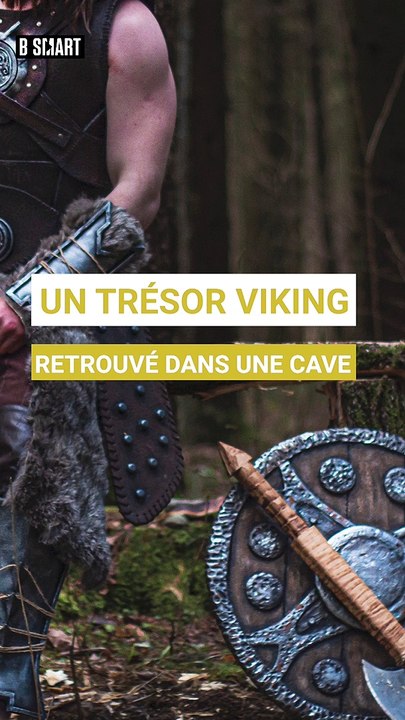 SMART SHORTS -  Un trésor Viking retrouvé dans une cave