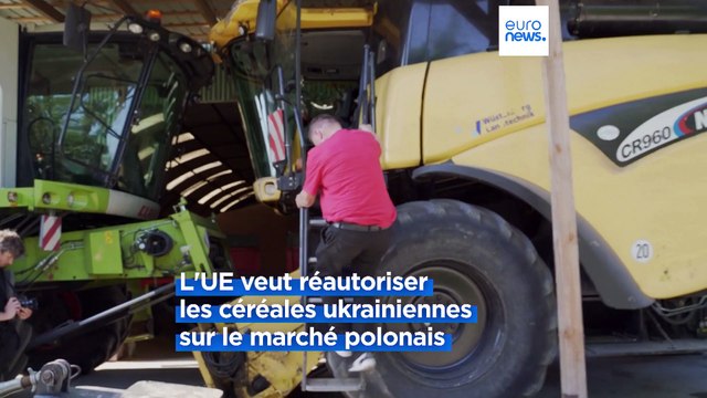 Les agriculteurs polonais craignent le retour des céréales ukrainiennes sur leur marché