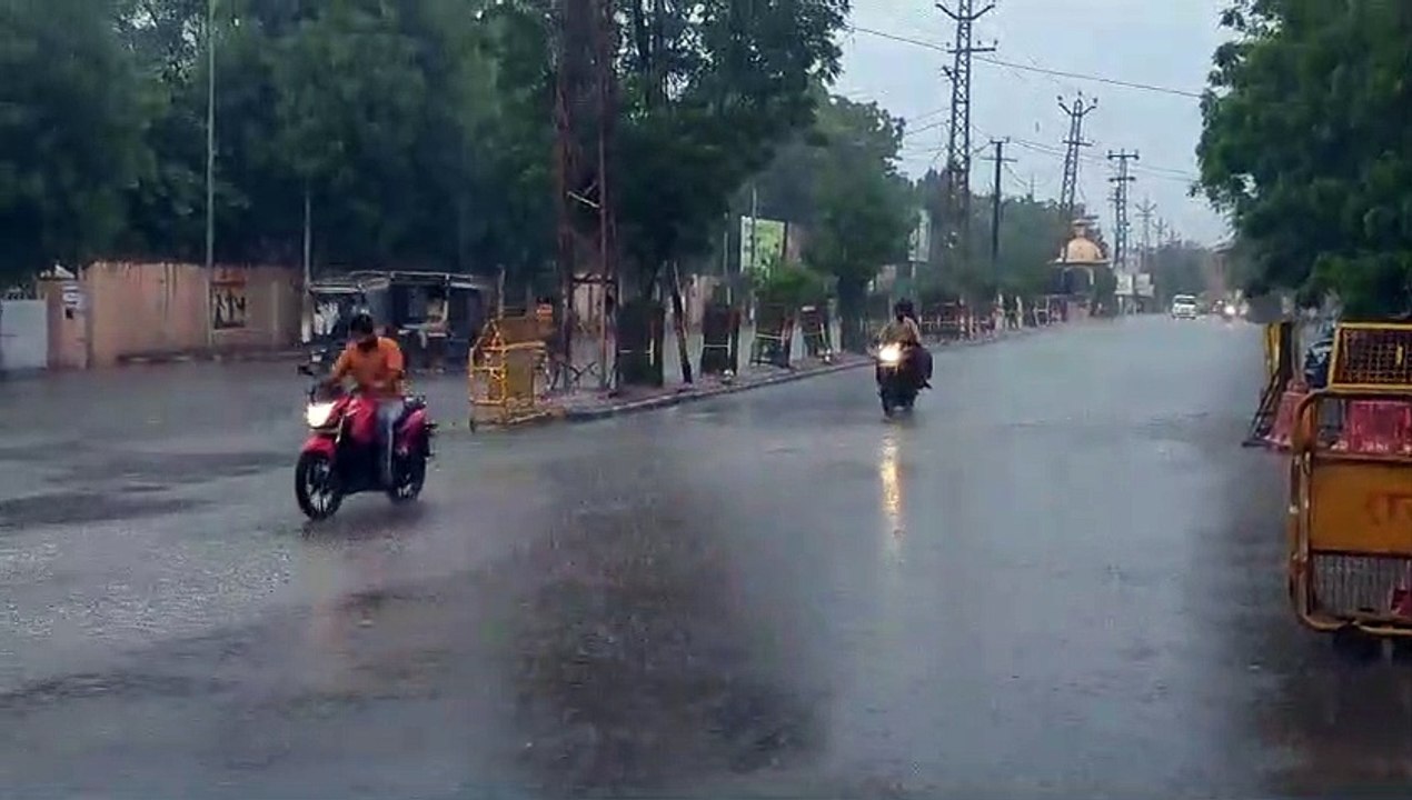 बर्बादी की बारिश : खेतों में कटी फसलें तो मंडी में बोरियों में भरी जिंस खराब