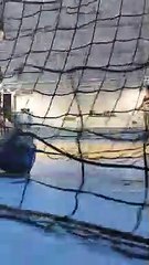 Les séniors filles se lâchent