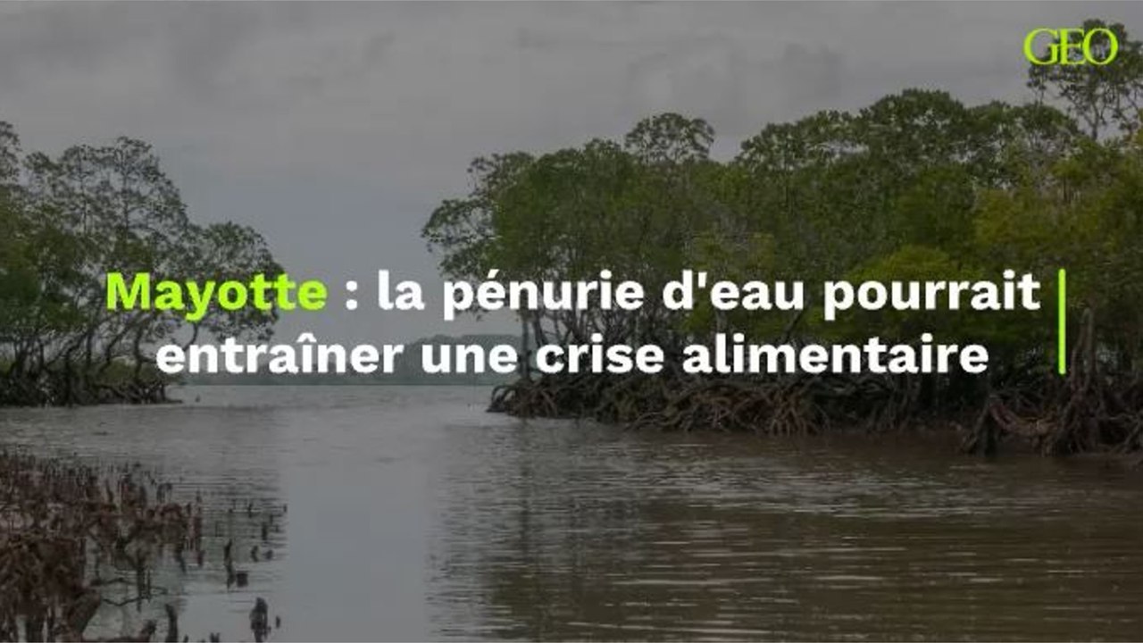 Mayotte La Pénurie Deau Pourrait Entraîner Une Crise Alimentaire Vidéo Dailymotion