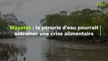 Mayotte : la pénurie d'eau pourrait entraîner une crise alimentaire