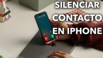 Cómo SILENCIAR CONTACTOS en un iPhone