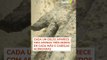Supostos restos mortais de alienígenas são apresentados no México