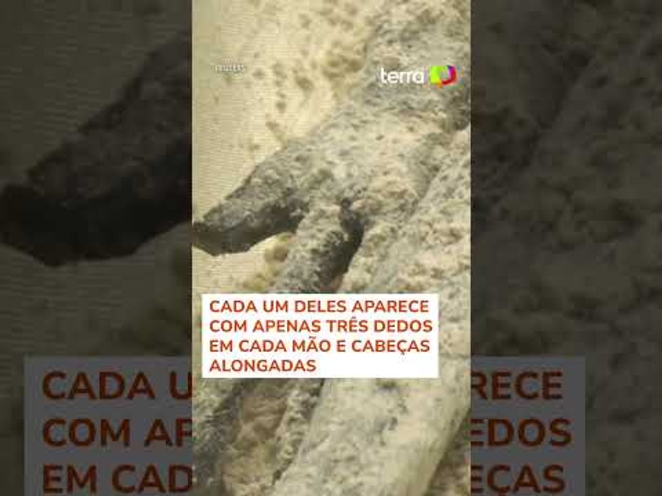 Supostos restos mortais de alienígenas são apresentados no México