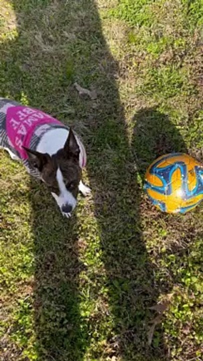 Super Princess with soccer ball