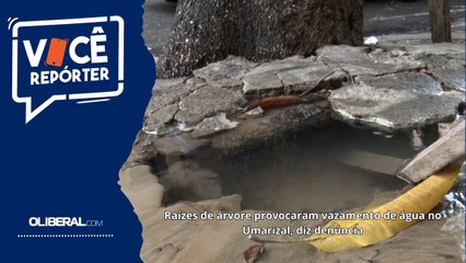 Raízes de árvore provocaram vazamento de água no Umarizal, diz denúncia
