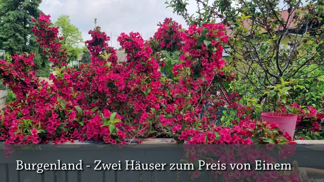 Burgenland - Zwei Häuser zum Preis von Einem