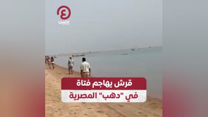 سمكة قرش تهاجم مصرية في مدينة "دهب"