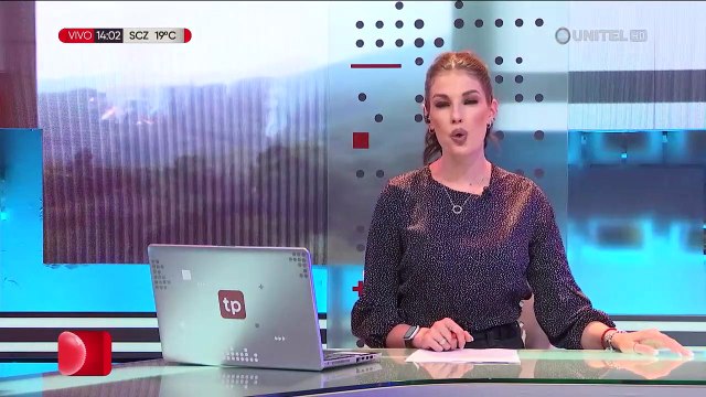 Denuncian que osos jucumaris, abejas y cultivos perecen por los incendios en el parque Mururata