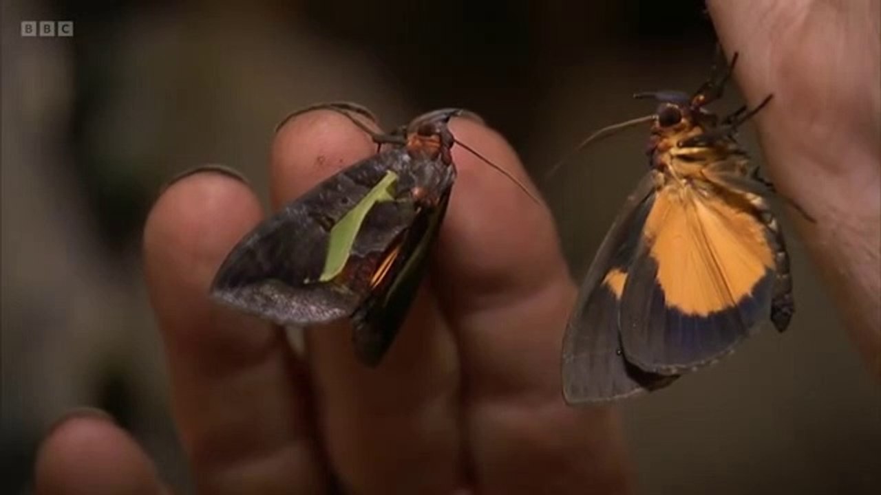 Lost Land of the Volcano S01E02