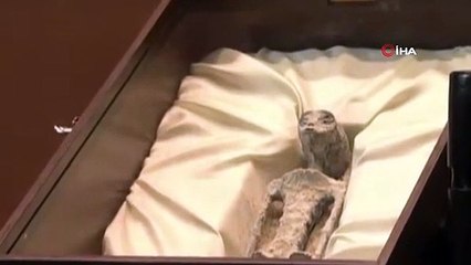 Meksika Kongresi'nde 'uzaylı' oturumu: İnsana ait olmadığı iddia edilen fosiller sergilendi