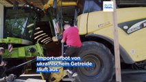 Getreide-Streit: Polens Bauern glauben nicht an Regierungsversprechen