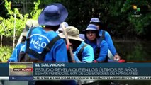 El Salvador: Mujeres buscan repoblar manglares mediante técnica tradicional