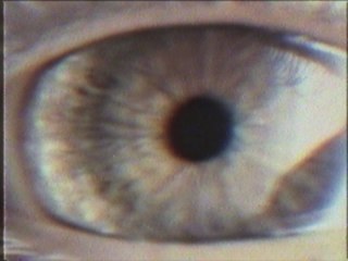 Stray From The Path - Outbreak