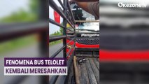 Viral! Bus Dimintai Klakson 'Om Telolet Om' Malah Nabrak, Pihak Bus Ancam Polisikan Pengunggah Video