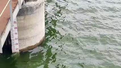 Piplad Dam more than half empty, wells also filled
