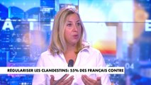 Nelly Garnier : «Les Français ont perdu confiance dans la capacité de leur dirigeant à mener une politique migratoire»