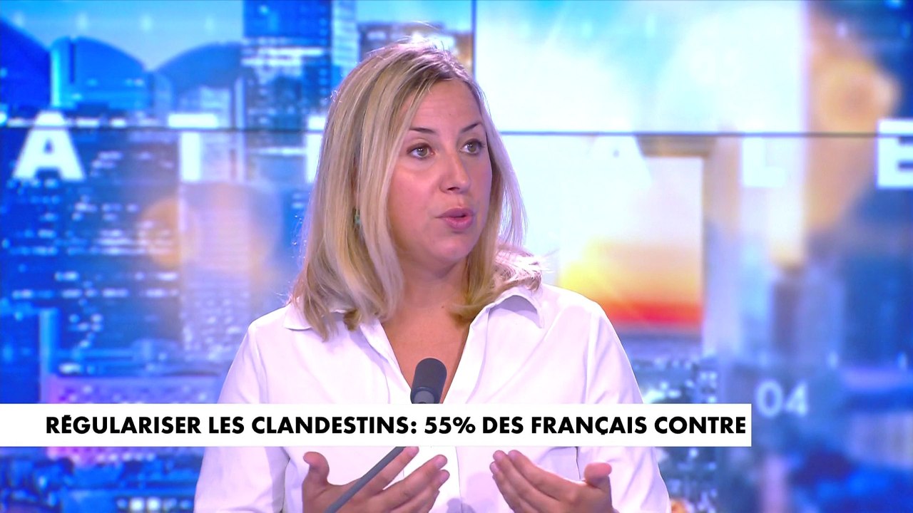 Nelly Garnier : «Les Français ont perdu confiance dans la capacité de leur dirigeant à mener une politique migratoire»