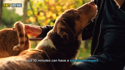 Spending just 10 minutes petting a dog or cat can improve your mood and reduce stress
