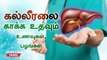 Liver | கல்லீரலை காக்க உதவும் உணவுகள், பழங்கள்.. உடனே நோட் பண்ணுங்க மக்களே! | Oneindia Tamil