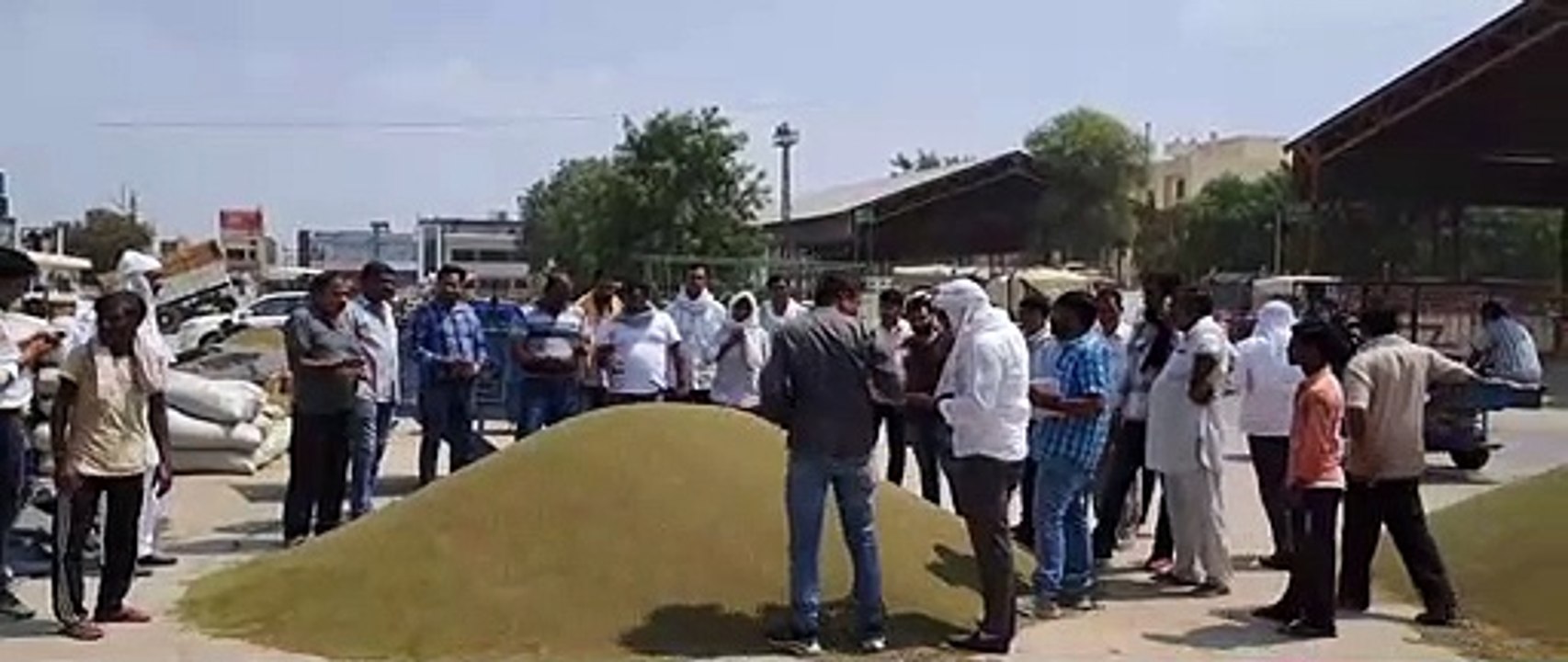 नए मूंग की आवक शुरू, समर्थन मूल्य से नीचे बिक रही फसल