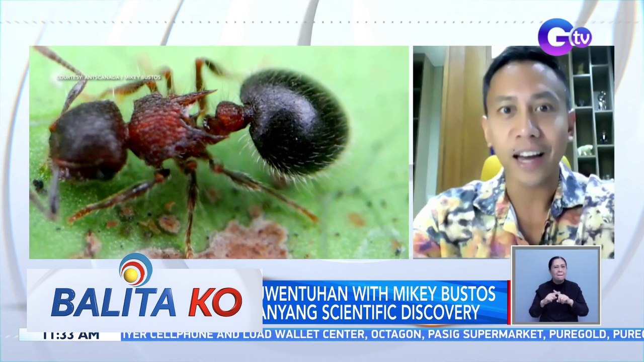 Balitaan at kuwentuhan with Mikey Bustos tungkol sa kaniyang scientific discovery | BK