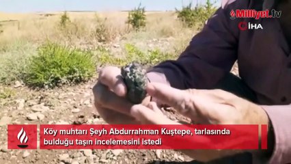 Muhtar tarlasında fark etti! 'Ben para pul derdinde değilim'