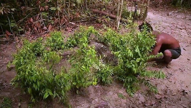 Create a Respiratory system And Oxygen system for Treats Cold or Coughs and Rheumatism