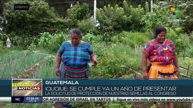 Guatemala: Organizaciones exigen la aprobación de la Ley de biodiversidad y conocimientos ancestrales