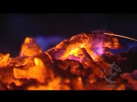 Rallye Aicha des gazelles 2008 - Video TF1 #8