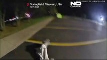 Scena da film a Springfield: lemure inseguito a tutta velocità dalla polizia
